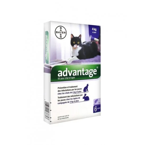 Advantage solution antipuce pour chat et lapin de 4kg et plus 6 pipettes