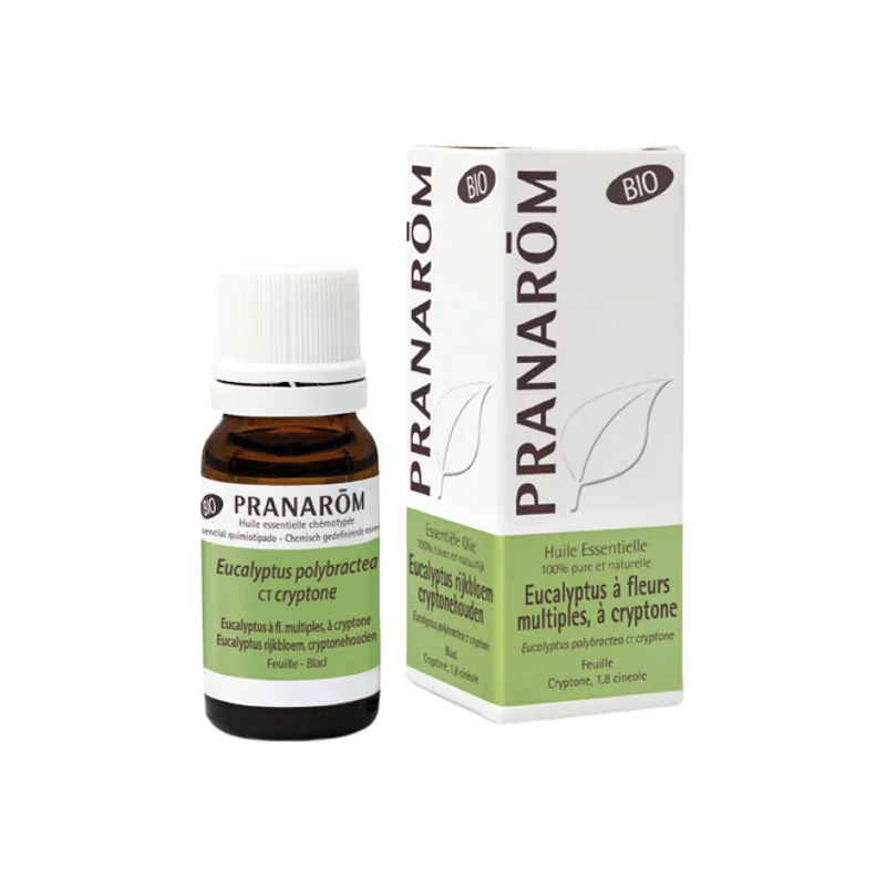 Pranarôm huiles essentielles eucalyptus à cryptone bio 10ml