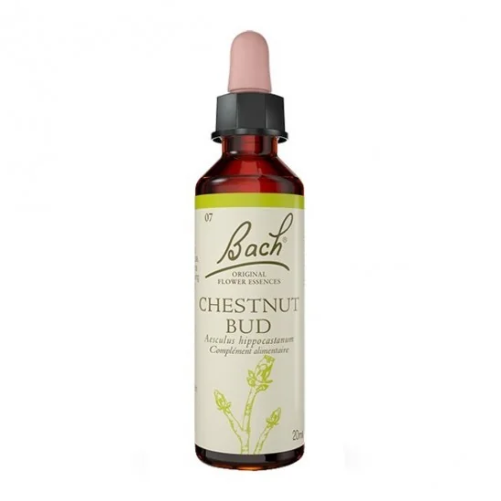 Fleurs de bach n°7 chestnut bud 20ml