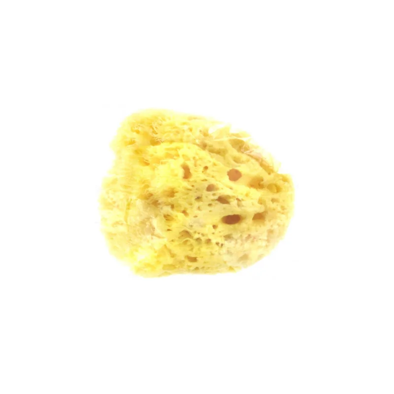 ESTIPHARM EPONGE NATURELLE