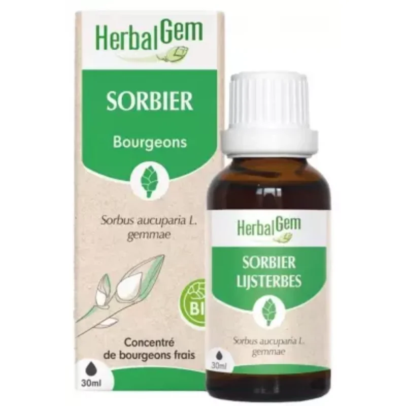 HerbalGem Sorbier Bio 30 ml